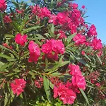 Puerto Simona 11a